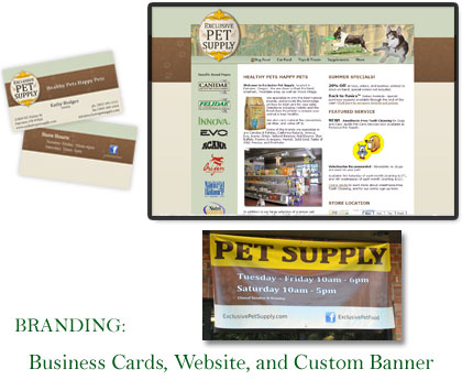 Branding: Coordinated Business Cards, Website, and Banner